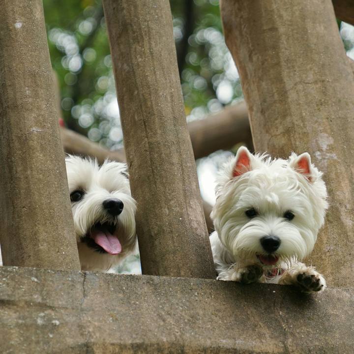 5bb2b143 198f 447a 84ef 3a8d50059cb5 1512213334589