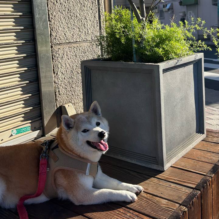 5bb2c064 5da3 49be a211 10740c876fb9 1752955838369