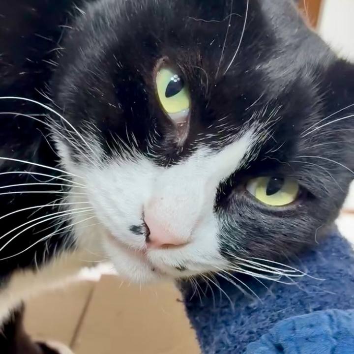 5bb2de4c 0cfe 4e39 ac9b a7177e5c2f79 1769520115381