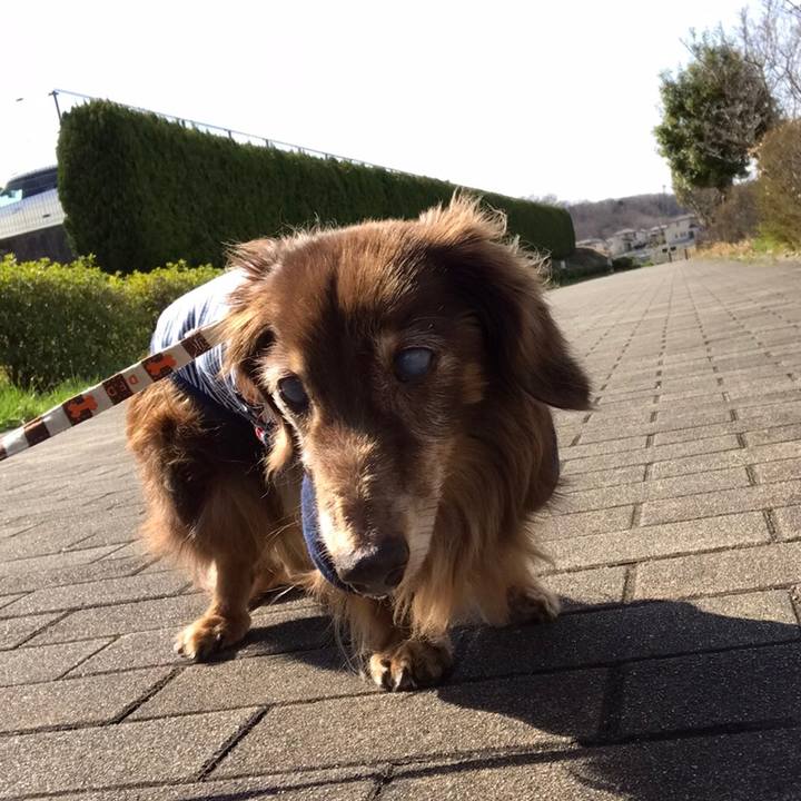 5bb33538 1a82 4602 bd32 faa0d2a75cb9 1583038674224