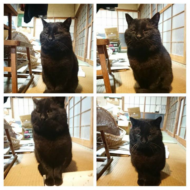 5bb39a98 e471 4f92 be29 1aaa5505deba 1616585388174