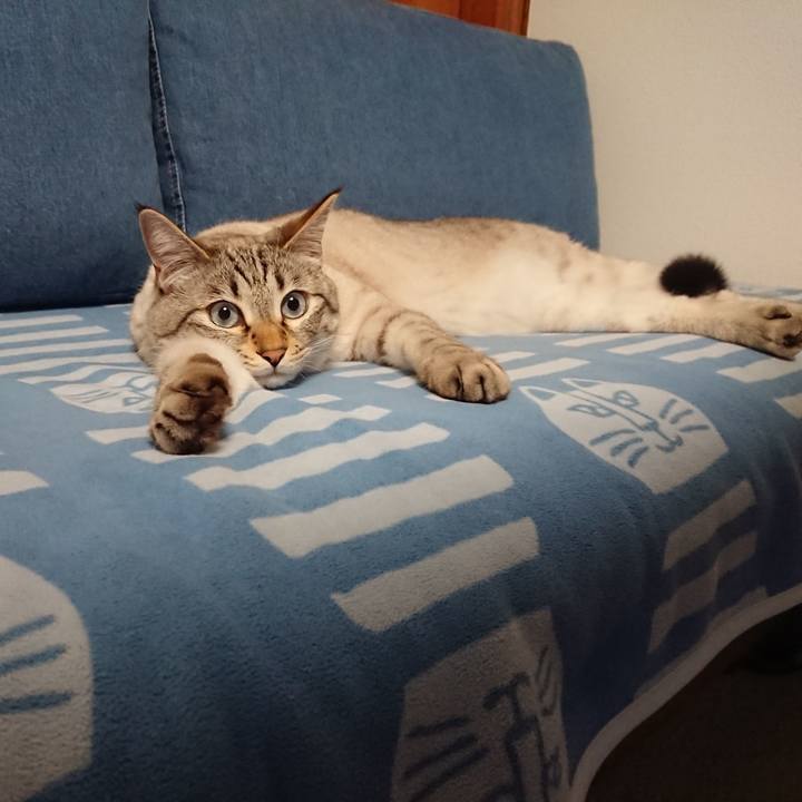 5bb3a2f4 75ea 4f93 bd96 8474e48ee606 1557593044940