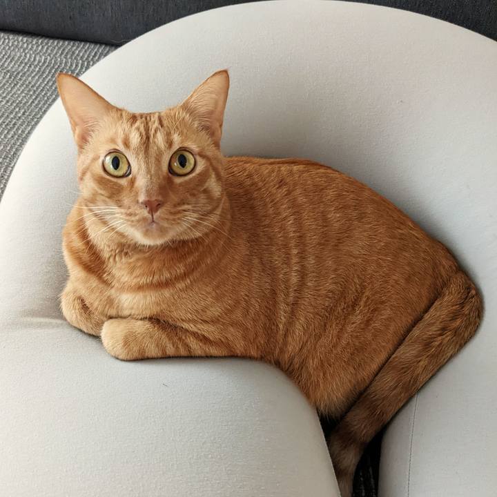 5bb3bfb5 b931 42b4 af57 3893a82a6a4c 1668834123895