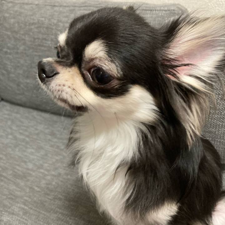 5bb3ef15 5812 400c bd2c dcb0b574b3d5 1608993041448