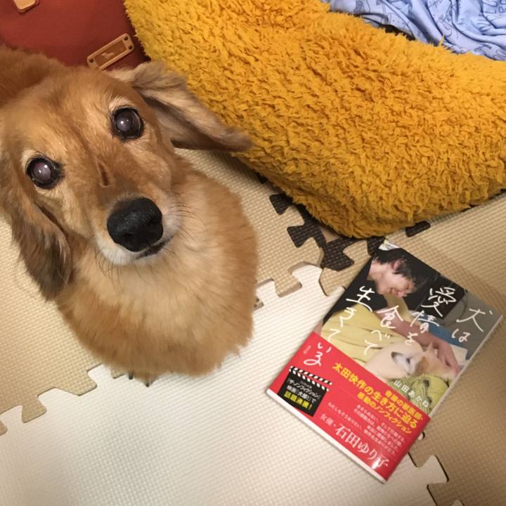 5bb3f5e0 8931 411e 83bd a53ed74ac623 1625572456267