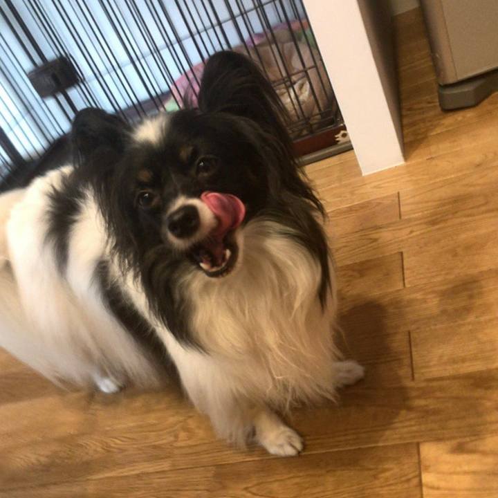 5bb40125 9b09 4490 a999 d99286523d0c 1543401712673