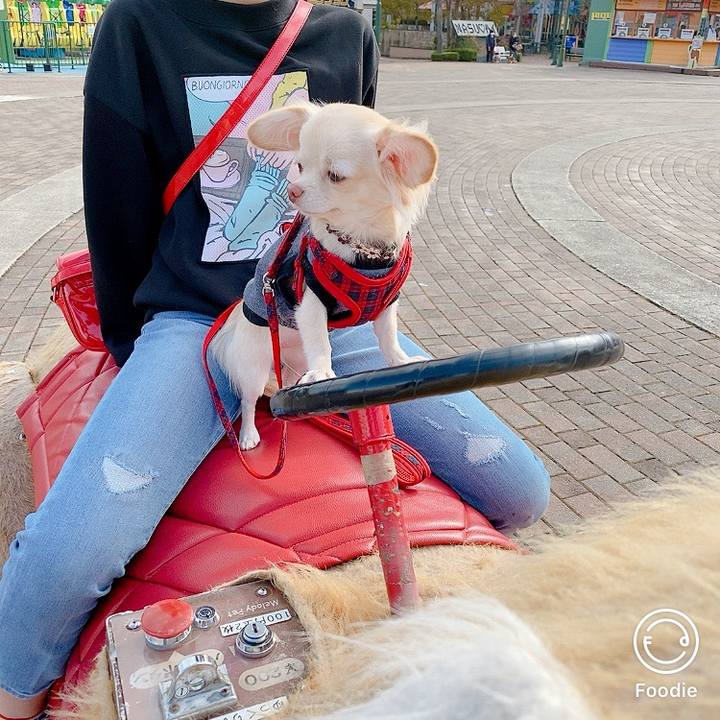 5bb417cd 7f99 4d90 8259 e0cd44fd9ac6 1604399742240