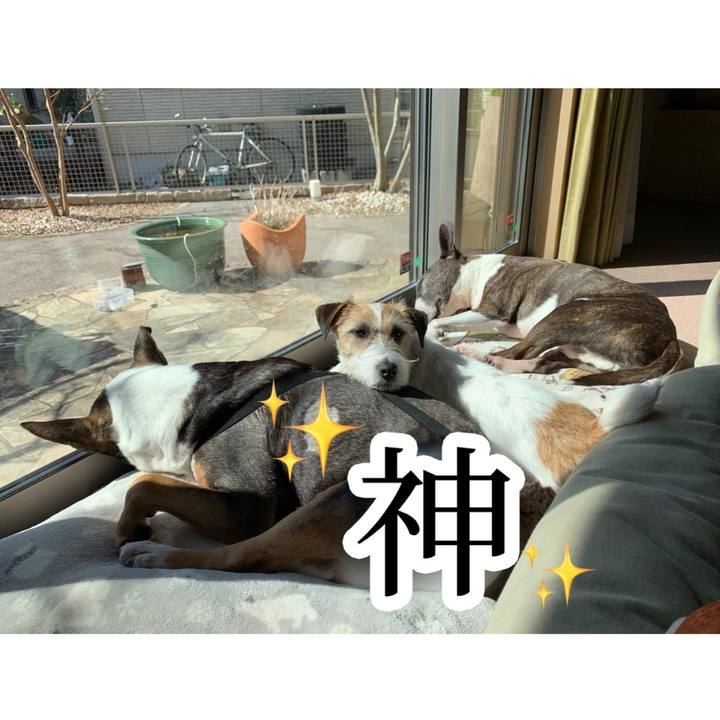 5bb426b5 fa9f 4281 9445 e823fd3fc7f8 1615368625636