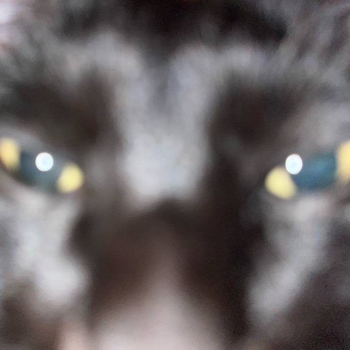 5bb43035 49ac 4b6b 866e 624f86561fde 1707092888521