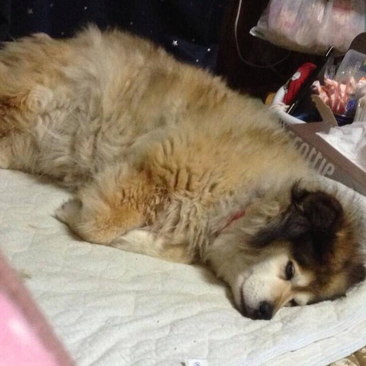 5bb43587 644a 4141 aa8b 741e96e6160a 1549289094957