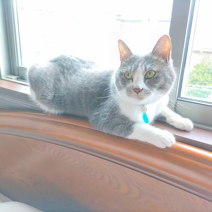 5bb4c724 de1d 49e8 8f0d 5c719e96c5d3 1725073103056