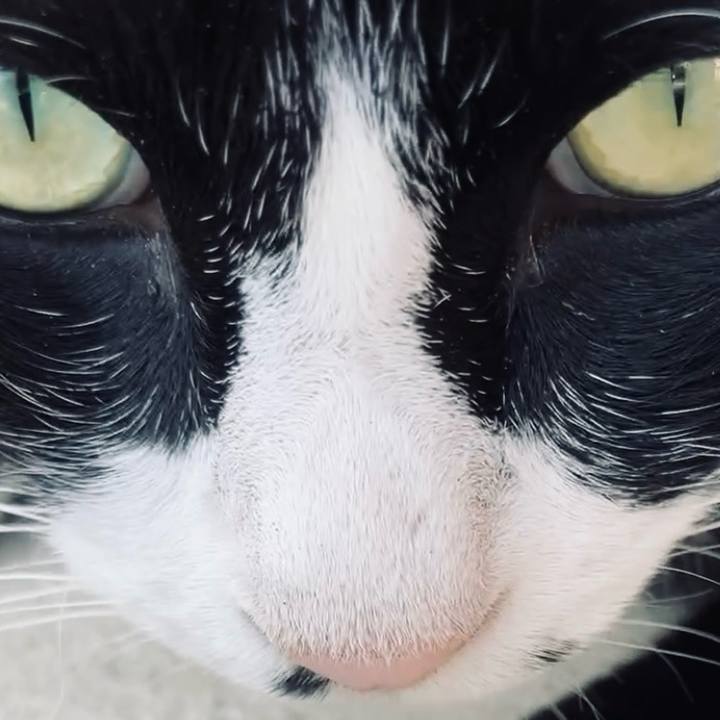 5bb4e6df e349 4b20 bcfb a00a9f0ec979 1729062688049