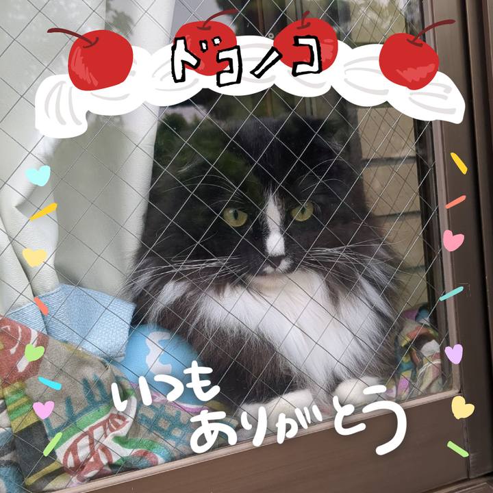 5bb510c4 b825 4dca 9f50 659842e41e02 1686005053970