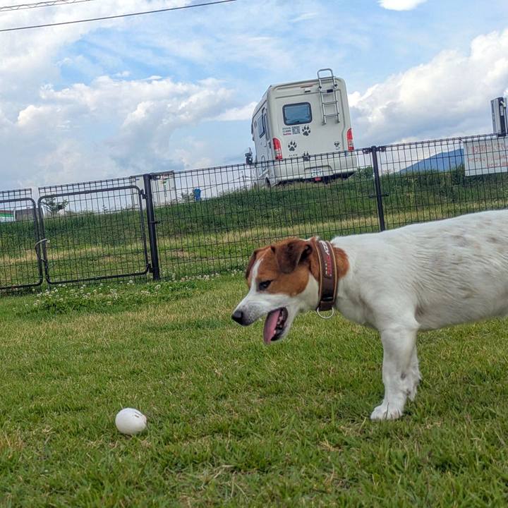 5bb51fac 1179 40ef 8e4d 049eee27e258 1751666535820