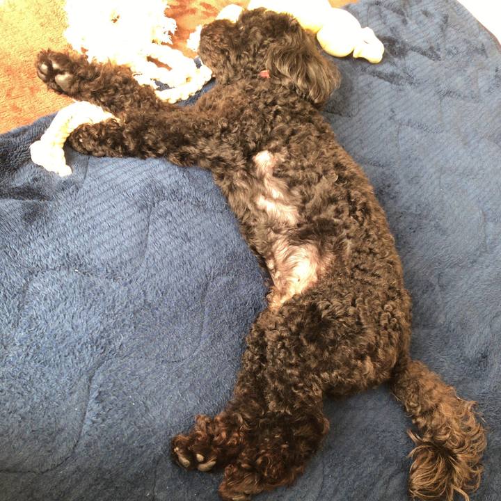 5bb52450 2c23 44c1 a955 ae45f4af0f25 1557226444039