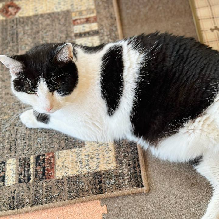 5bb5491a 8601 471a 839f b3d3c52d0637 1709868184190