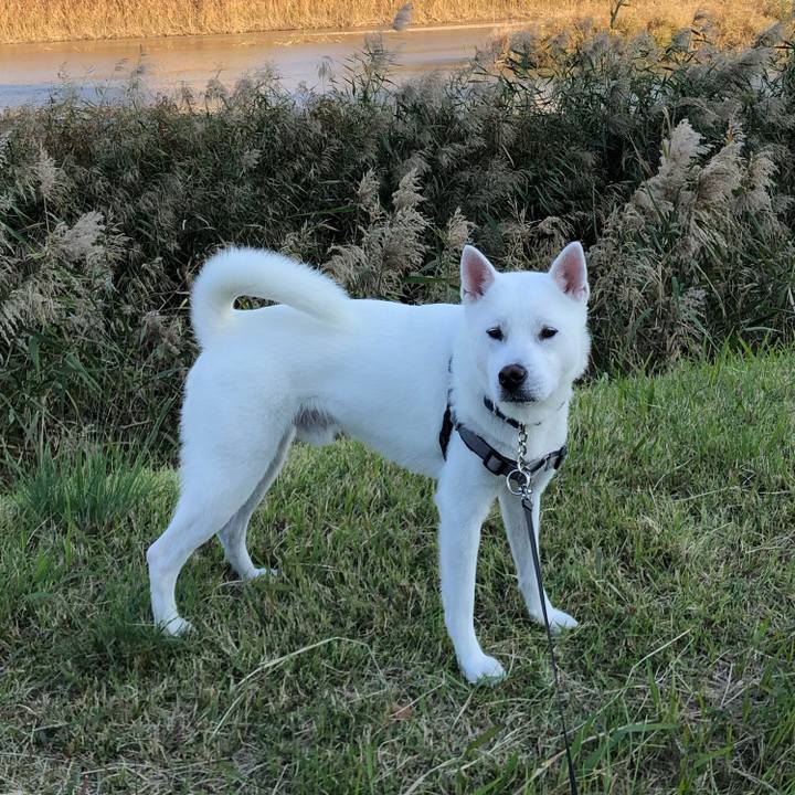 5bb59482 833f 490f baf7 b65c0278901a 1573043879012