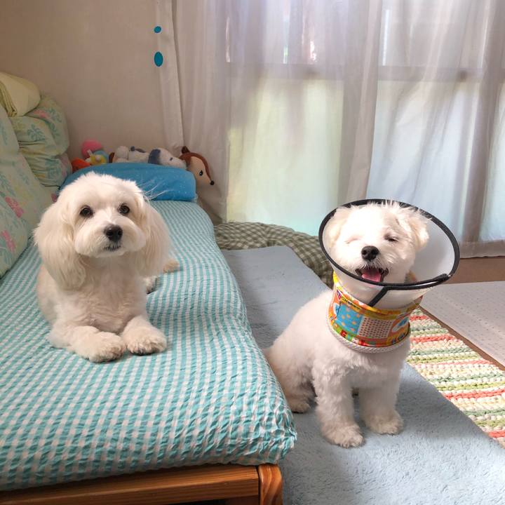 5bb61e94 70d3 4abd a65d 31921a873ce7 1533947180276