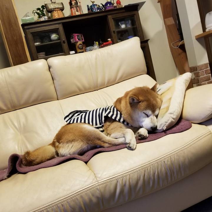 5bb6358c 23a0 4c9b b6a7 682d00994f5d 1643192575042