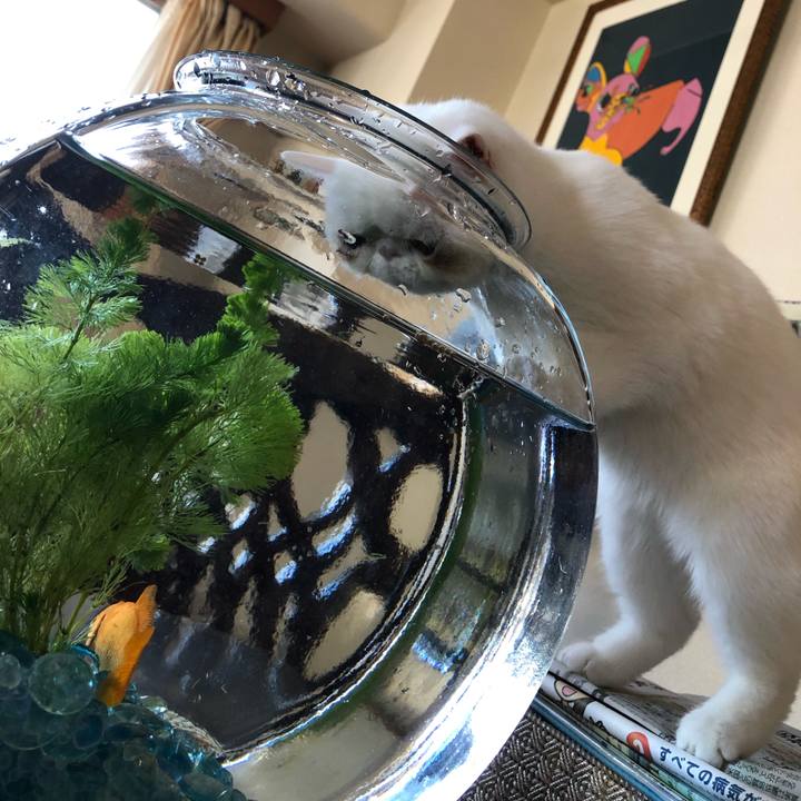 5bb6422d e274 44e9 8066 533aeef2b396 1552099577209