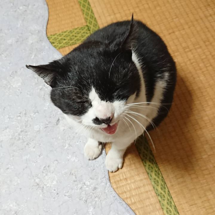 5bb6456c 923d 4839 a646 622a3cb96bd4 1642844108358