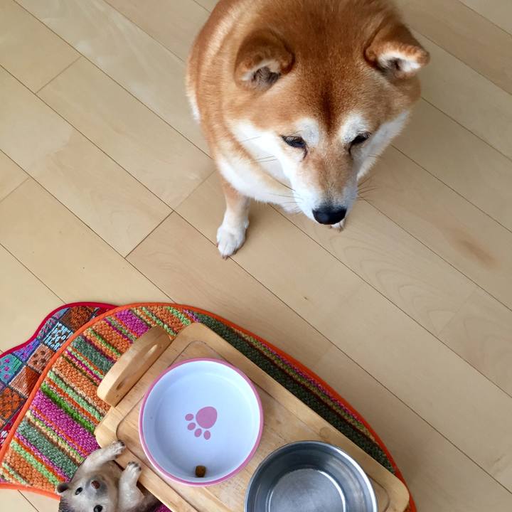 5bb66f0a 9683 40fe ad37 cb5bfa6d0424 1533644821395