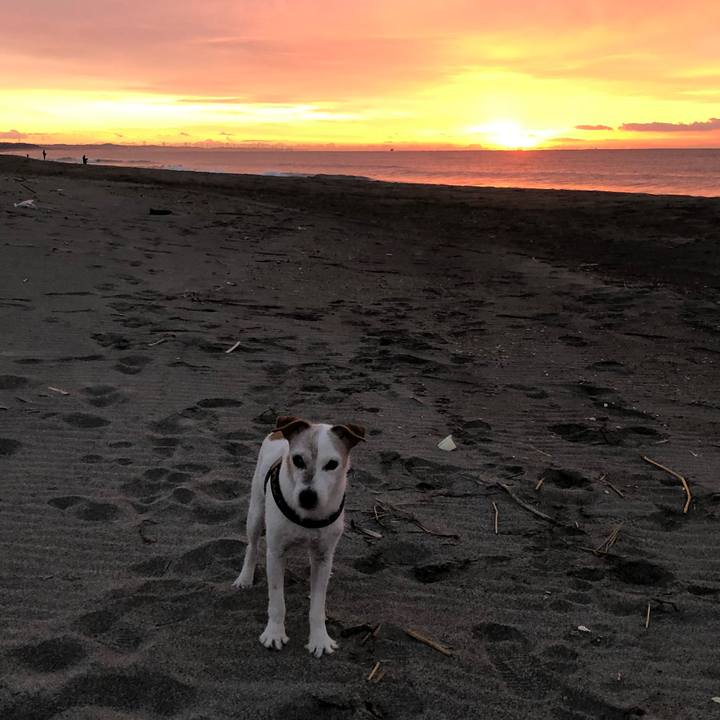 5bb6b231 cc0f 4144 b014 9933ffed7e38 1515366970468