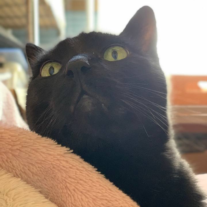 5bb6b3e2 bcb2 43d7 8123 5d89be944e1e 1582247478375