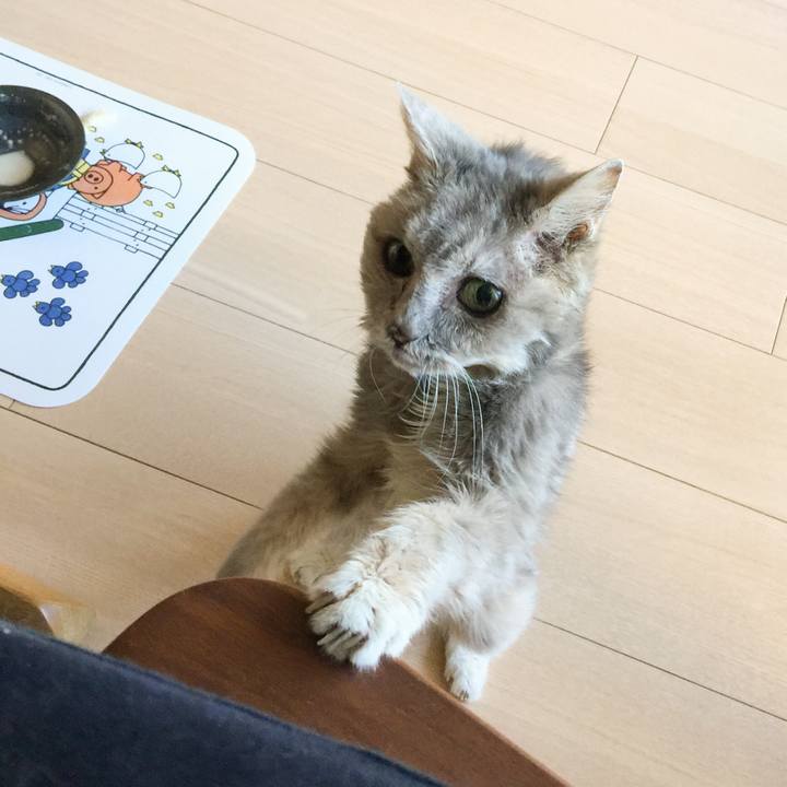 5bb6b985 21d8 4c3a 93a0 dd631028a9c9 1578099694053