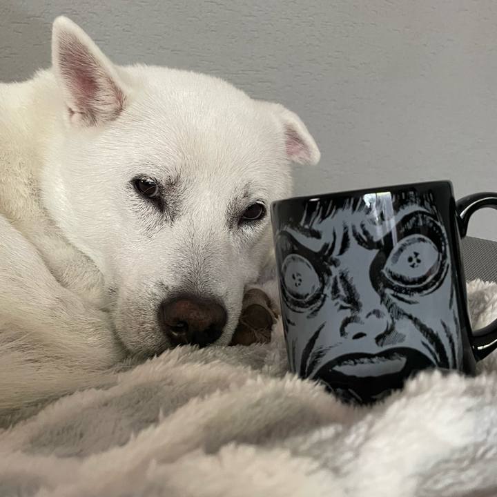 5bb6dfb6 5e36 471f 8e30 3afaff5628f7 1730807202564