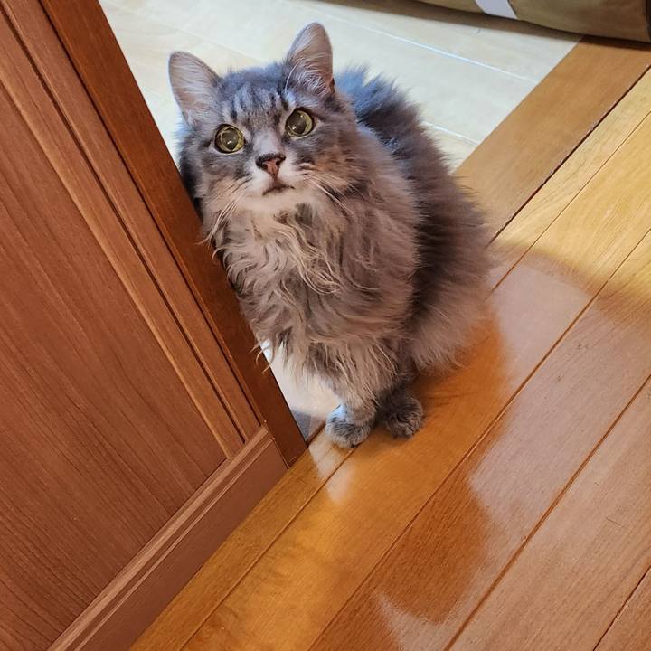 5bb71356 ef9c 40cb aa8a 20dbf2ab9267 1695936588776