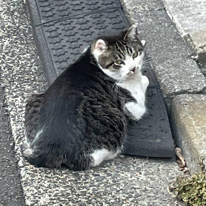 5bb71533 d8f6 4f72 b030 0662c477e07a 1647261261743