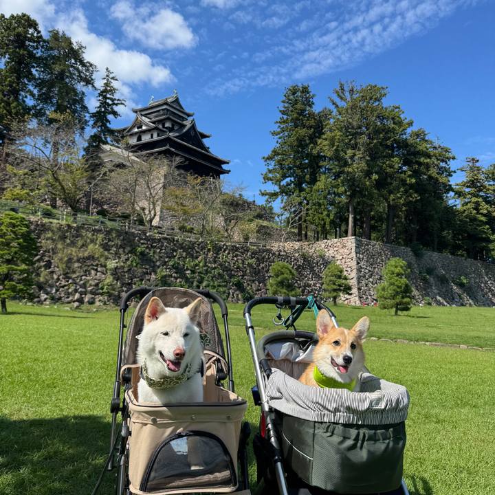 5bb74fe7 6fe6 4a1a 91c4 b81d38abee6d 1758945297041