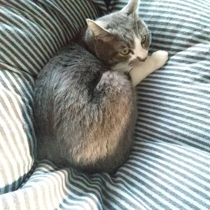 5bb755c6 55f6 4c2c b4c0 3ab34fe81314 1648021448178