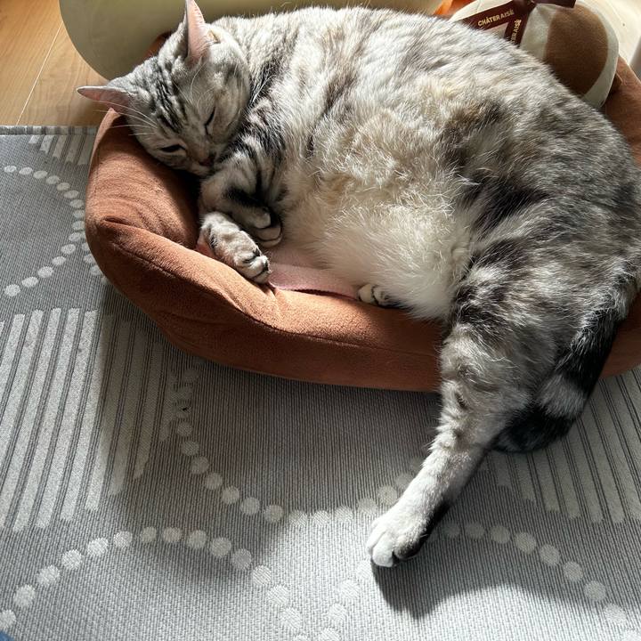 5bb79447 8da5 4b95 ab13 1b21030eec77 1763771173779