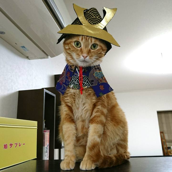 5bb7aa2b b711 44ab 8bd4 5034f6300fbe 1557059723395