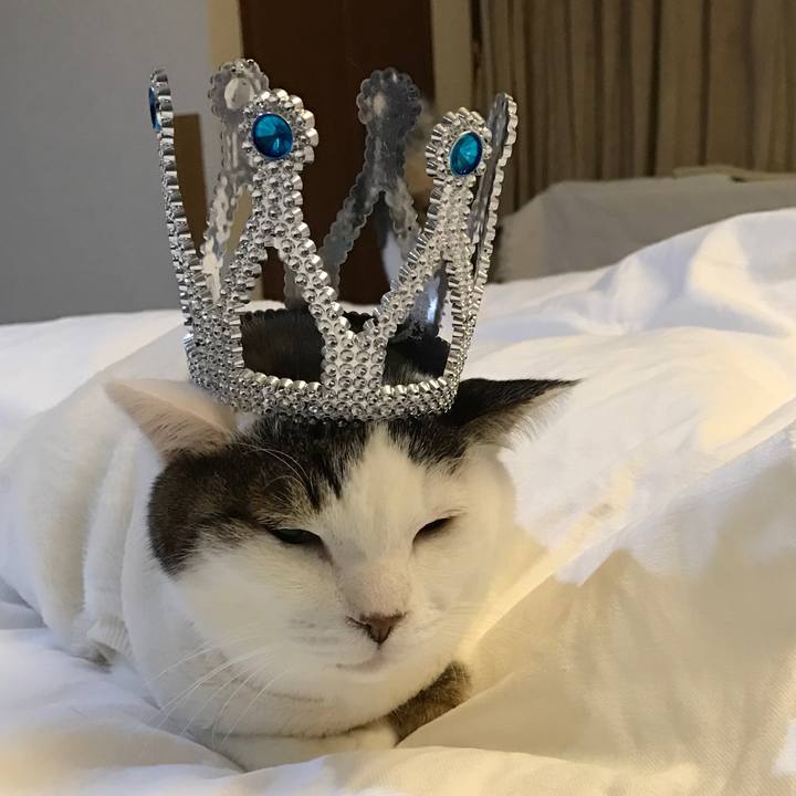 5bb7d7ae 11e3 4d3f bc4e 4d7ddf6529b0 1518615918796