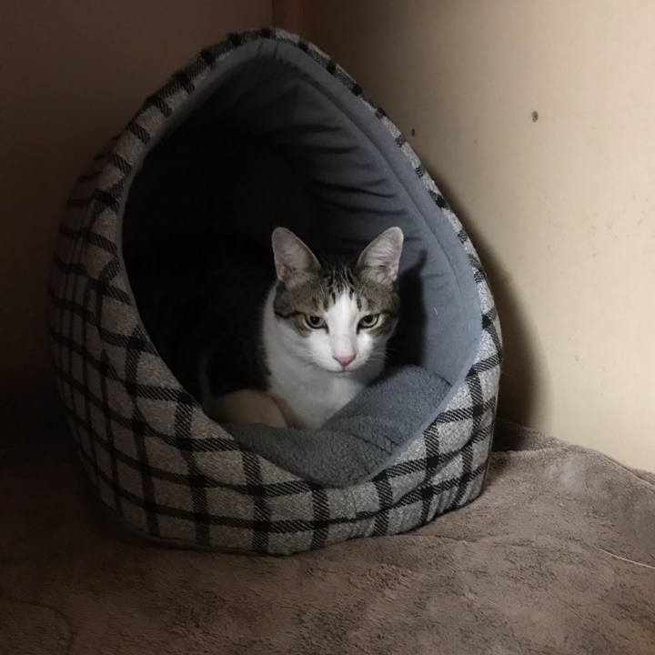 5bb7de1d b18b 49f4 a92c 476536c02910 1603885901152