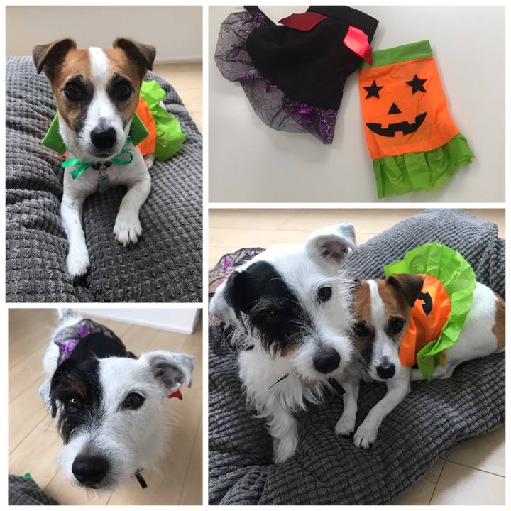 5bb830e4 12de 4380 bb17 80cf36d64372 1537849909951