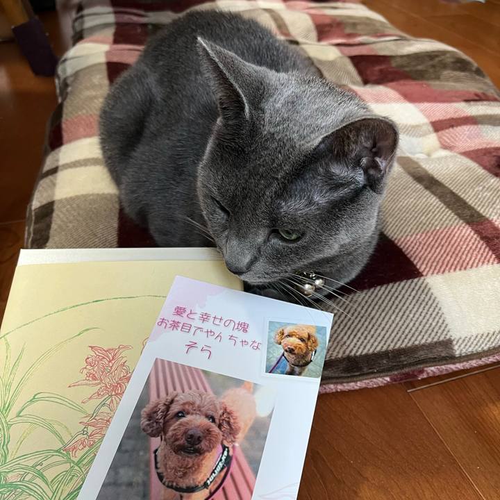 5bb840c2 3600 44ee 84c1 eb5a68c7bd13 1683627381354