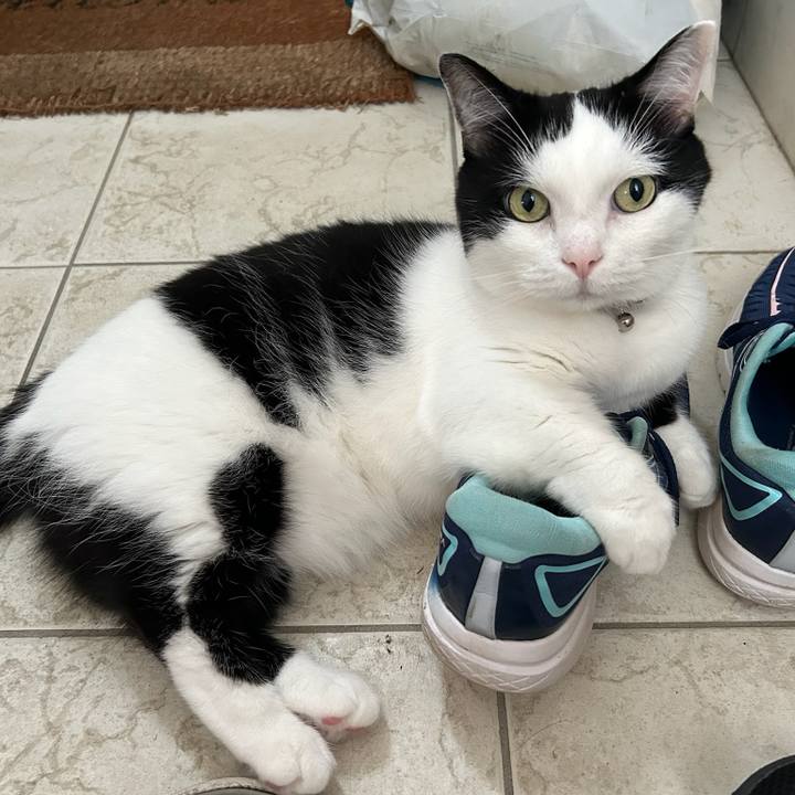 5bb85277 7cf7 4da2 8217 3f710c4705fc 1758063456037