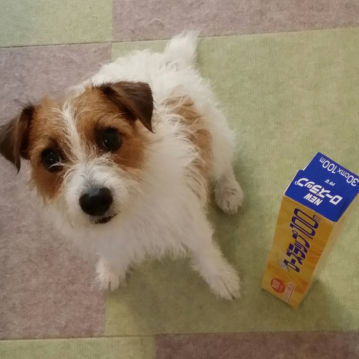 5bb8726e ae49 4333 9cfb e7341af2dddb 1534403096415