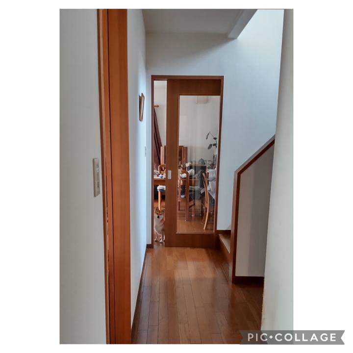 5bb88561 0f60 46b6 b9f4 9863dcdd4736 1710384569580