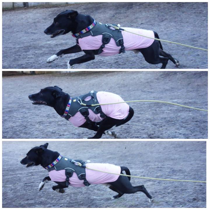 5bb895d9 7836 4378 9e95 40ef1cec6f85 1644972649634