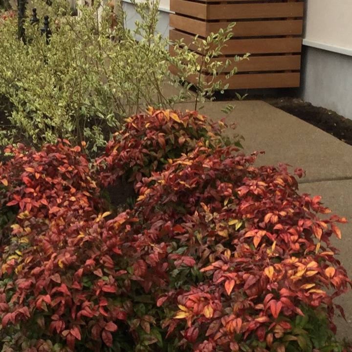 5bb8db06 f1d6 439d bfef 35e33f0678f3 1583655286706