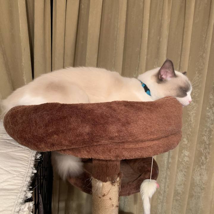 5bb90fe5 df02 4aeb a494 4e5f6bdf95d5 1633354480334