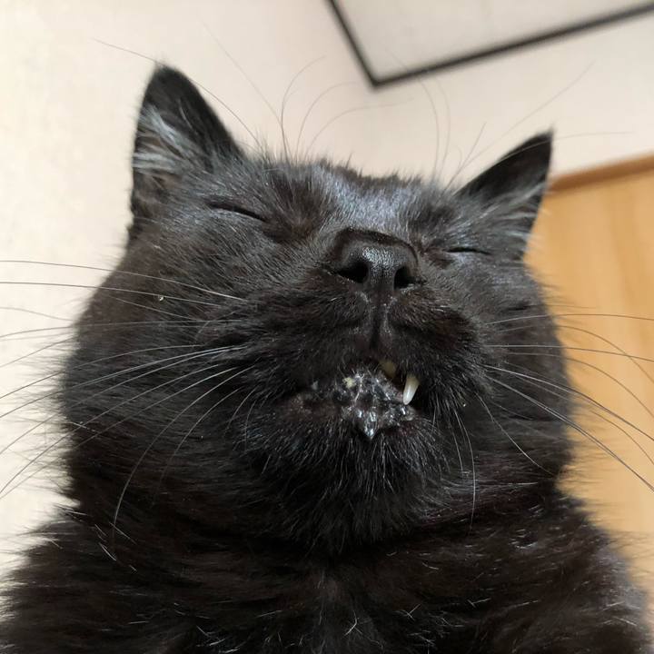 5bb92d23 2dec 41d0 aabc e68161caeba6 1623916404169