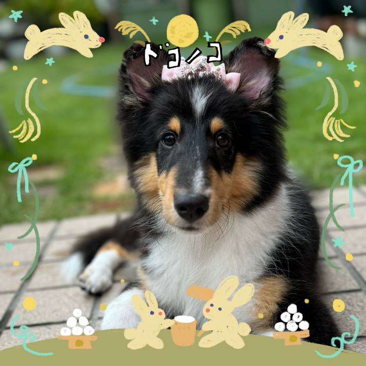 5bb9481b e7f9 421d 9535 d438dbc9d887 1727287539753