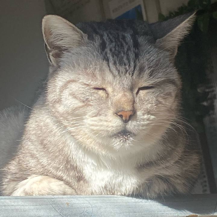 5bb96e36 6d3d 4e48 b07d e339598162bf 1736558753297