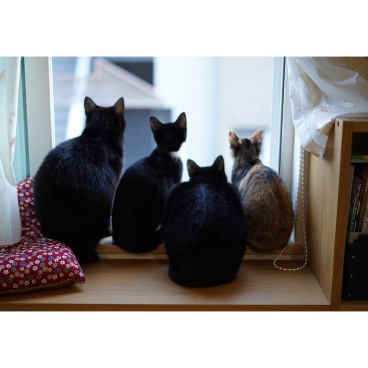 5bb976c5 156d 43ae b5ad 056ecae1f1f7 1574121726551